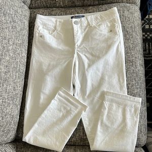 Democracy capri. Mid rise.
